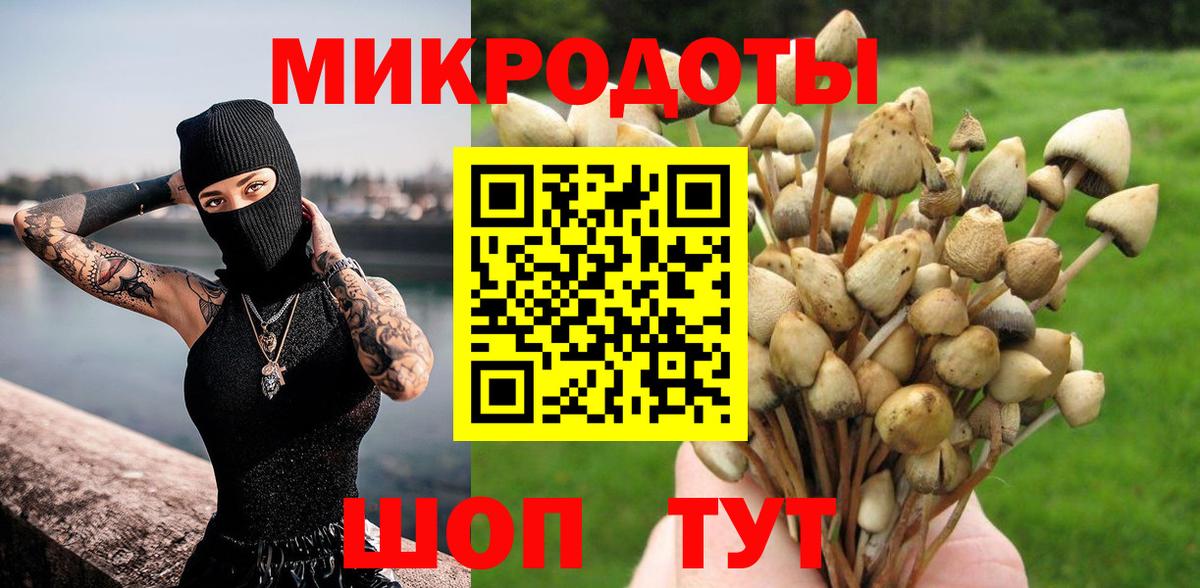 Псилоцибиновые грибы мицелий Камень-на-Оби